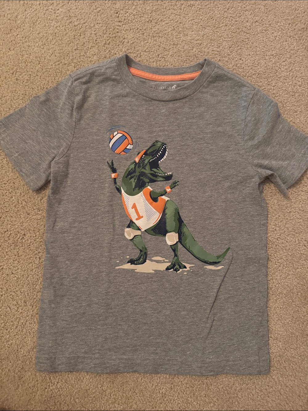 Caribbean Joe Gray Tee with Green Dinosaur Volleyball Graphic